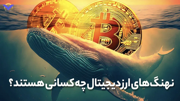 نهنگ در بازار کریپتوکارنسی