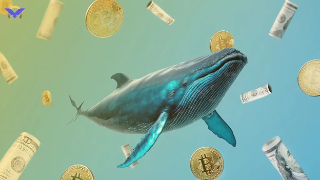 تفاوت نهنگ‌های بیت‌کوین با سایر ارزهای دیجیتال