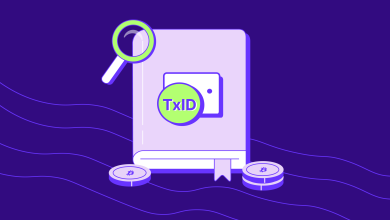 تراکنش های ارزهای دیجیتال را از کجا پیگیری کنیم؟ آموزش پیگیری تراکنش با TXID در بلاکچین