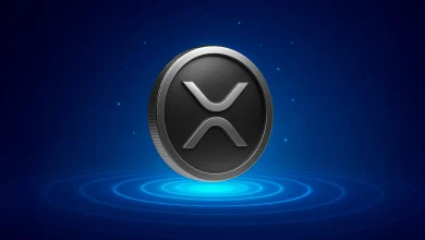 سرمایهگذاری در ریپل؛ بررسی مزایا و معایب خرید و نگهداری ریپل (XRP) برای سرمایهگذاری بلندمدت 3 سرمایهگذاری در ریپل؛ بررسی مزایا و معایب خرید و نگهداری ریپل (XRP) برای سرمایهگذاری بلندمدت