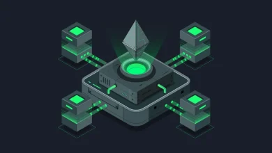 با 10تا از بهترین پروژه های ساخته شده روی شبکه اتریوم آشنا شوید 6 با 10تا از بهترین پروژه های ساخته شده روی شبکه اتریوم آشنا شوید