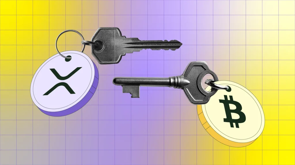 بیت کوین با ریپل چه تفاوتی دارد؟