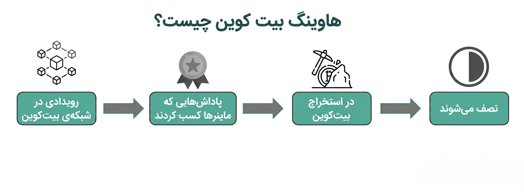 هاوینگ (Halving) و تاثیر آن بر پاداش ماینرها