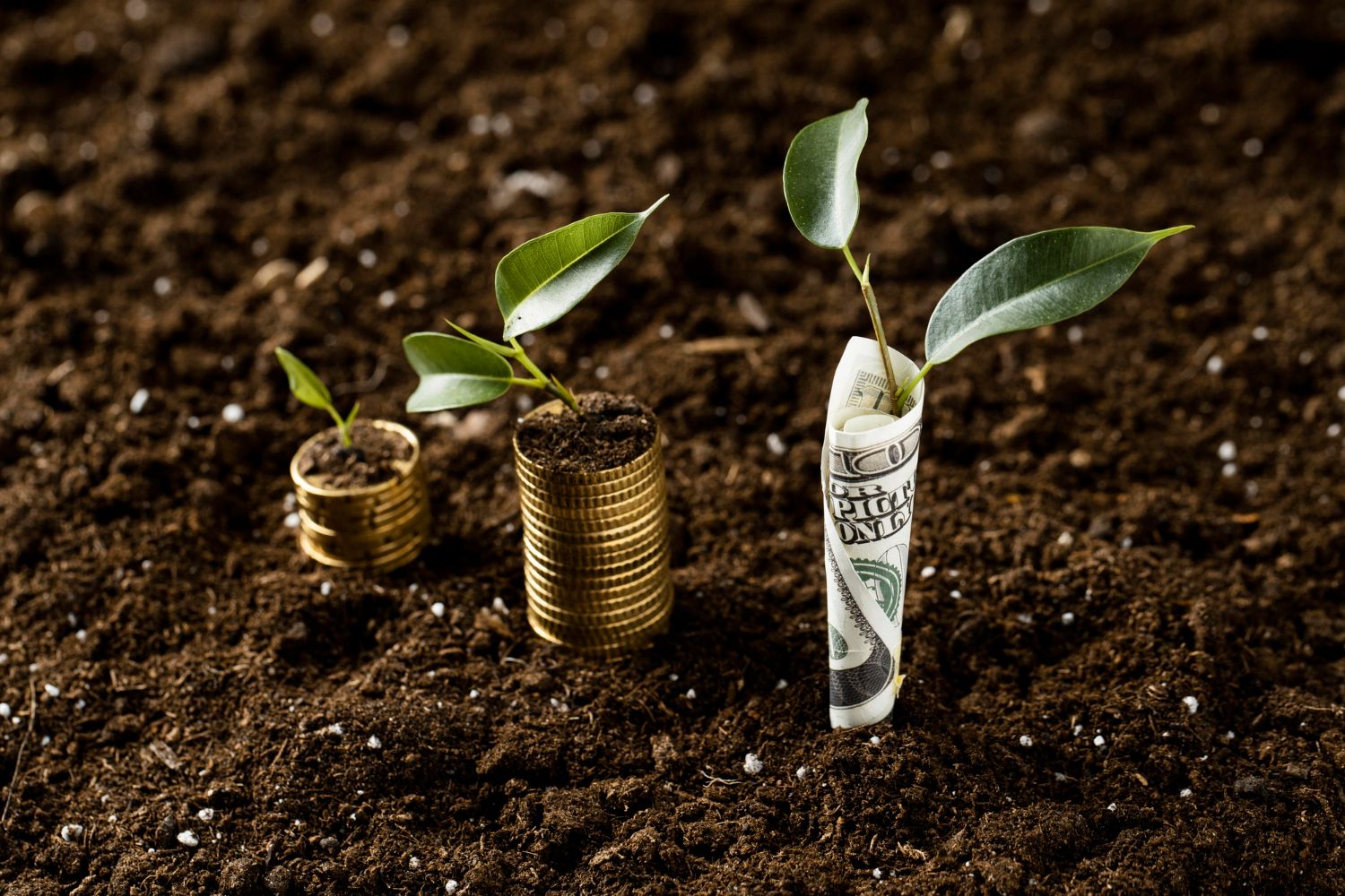 ییلدفارمینگ (Yield Farming) اتریوم؛ کسب درآمد از استخرهای نقدینگی